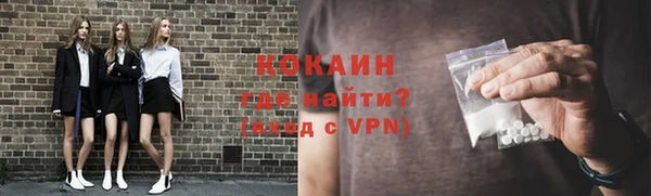 индика Покровск